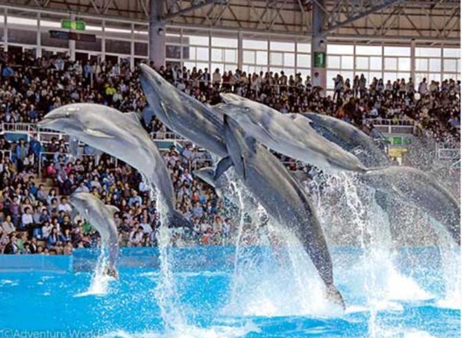 白浜町 長楽園ヴィラ エクステリア 写真